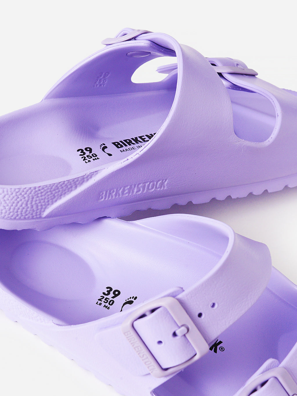 1017046xPURPLEFOG-alt4