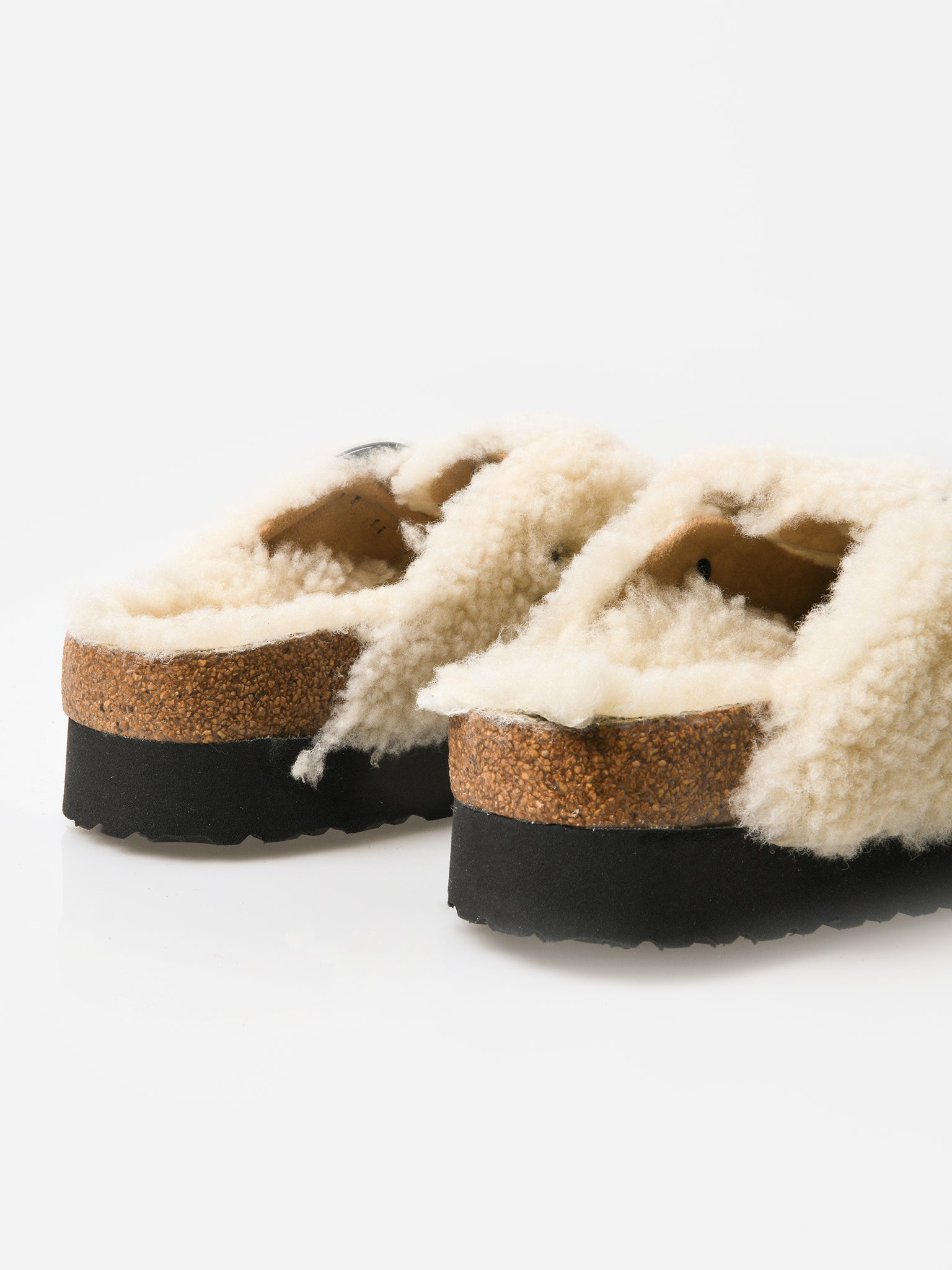 1017677xEGGSHELL-alt2