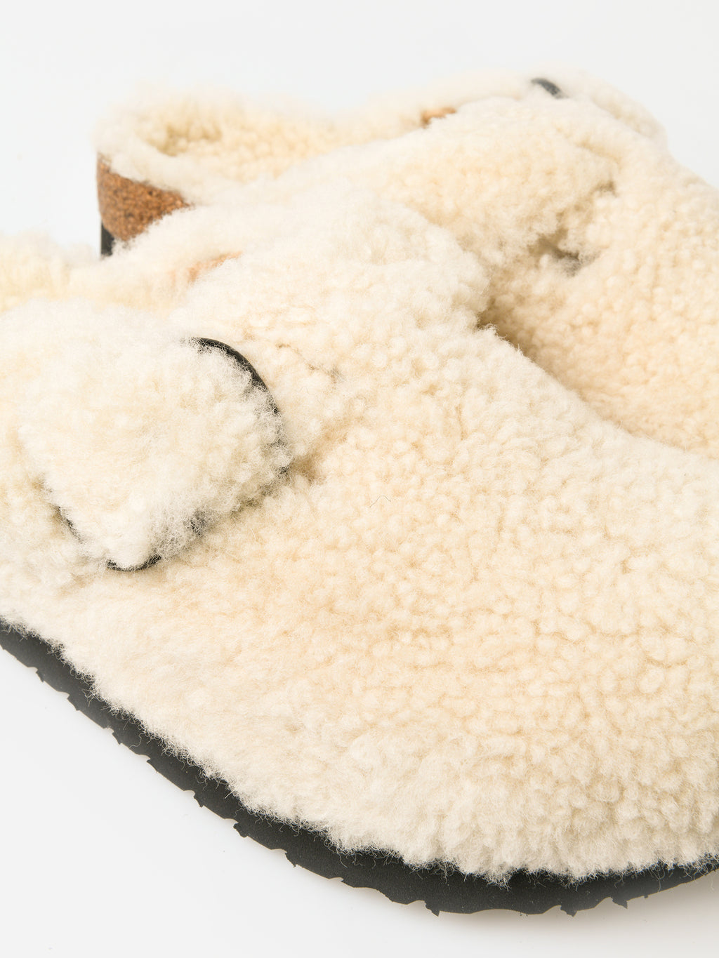 1017677xEGGSHELL-alt3