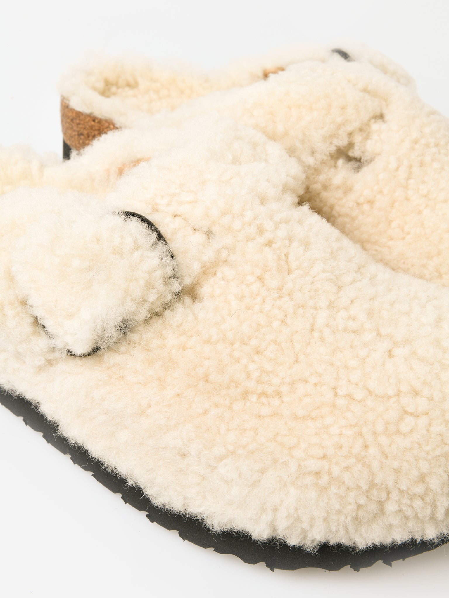 1017677xEGGSHELL-alt3