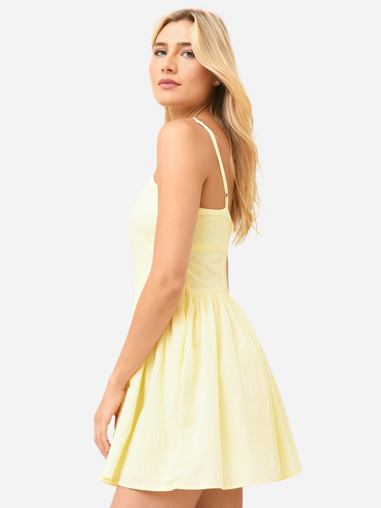 10265123xMERINGUE-alt3