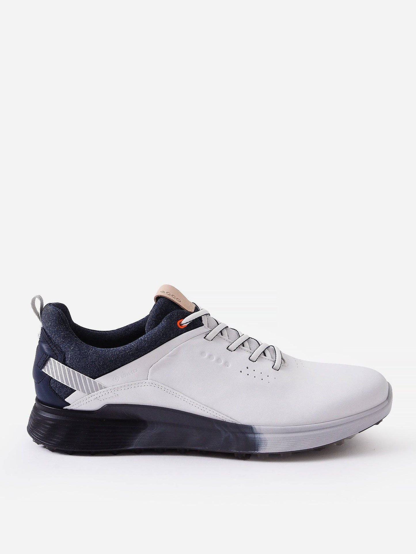 10290401007xWHITEDRITTON-alt1