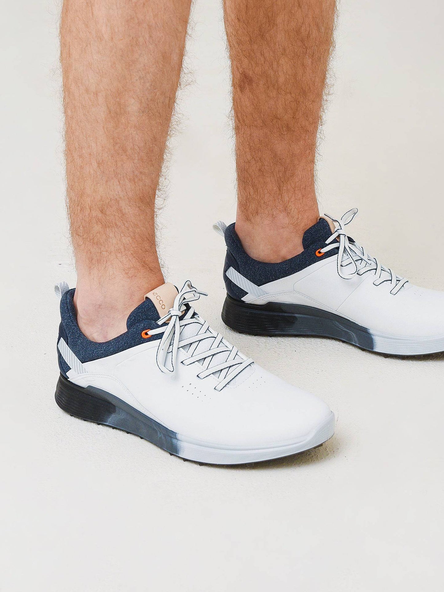 10290401007xWHITEDRITTON-alt1