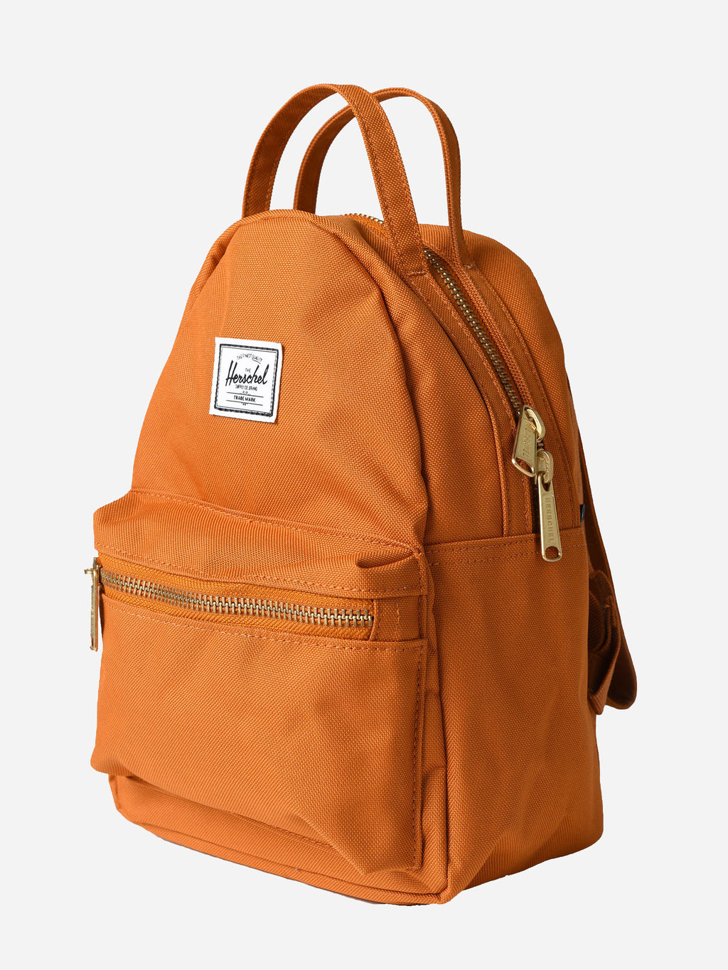 10501xPOLYPUMPKINSP-alt1
