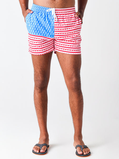 CHUBBIES Men's The Fruited Plains 5.5" Classic Swim Trunk