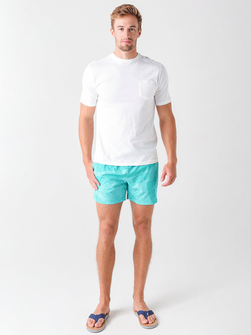 Chubbies Men's The Pastel Pals 5.5" Swim Trunk
