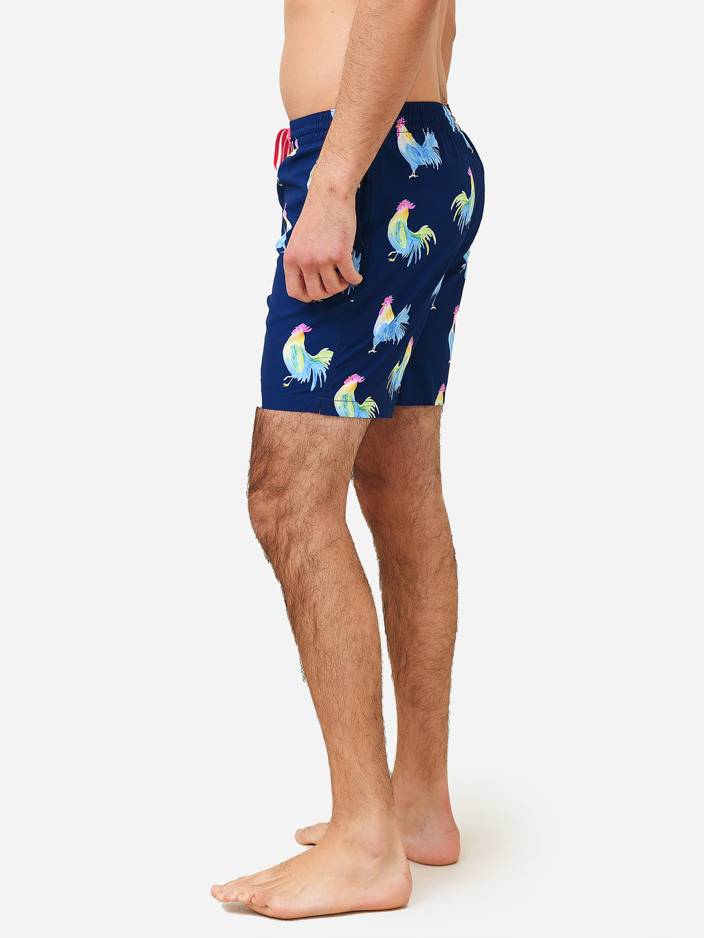 110201-05xNAVY-alt2