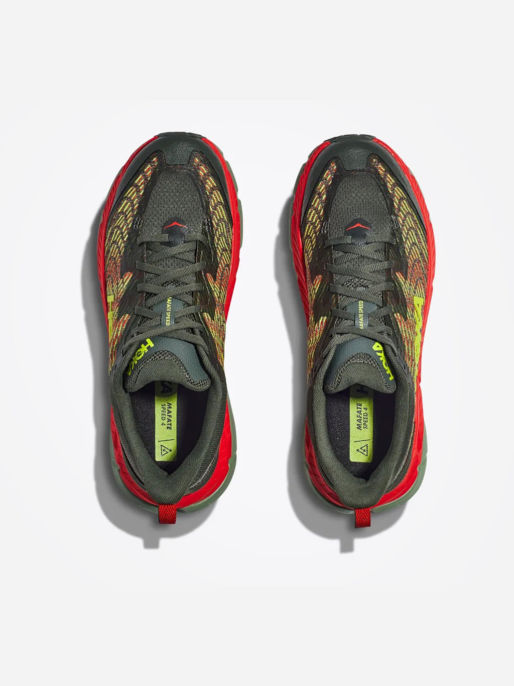 1129930-TFSTxTHYMEFIESTA-alt1