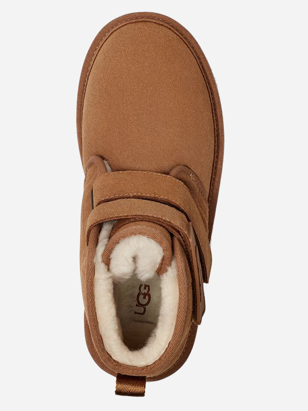 1130554xCHESTNUT-alt2