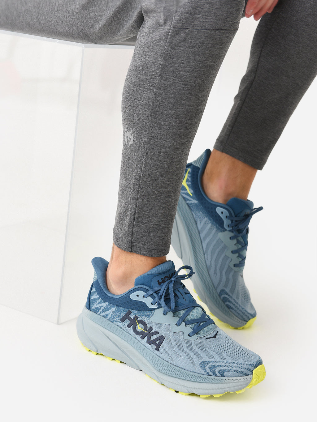 1134497xSTONEBLUEEVENINGPRIMROSE-alt1