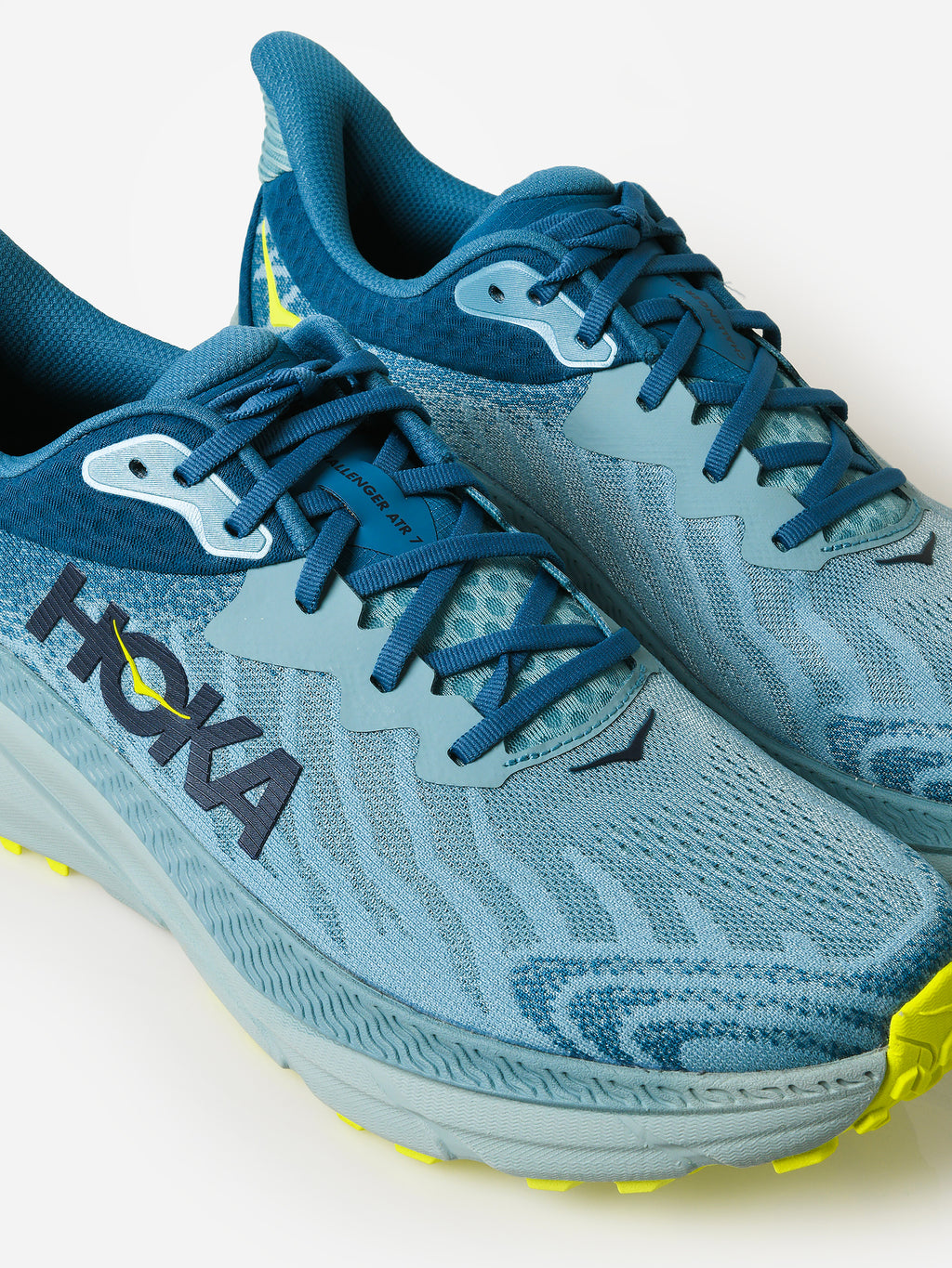 1134497xSTONEBLUEEVENINGPRIMROSE-alt2