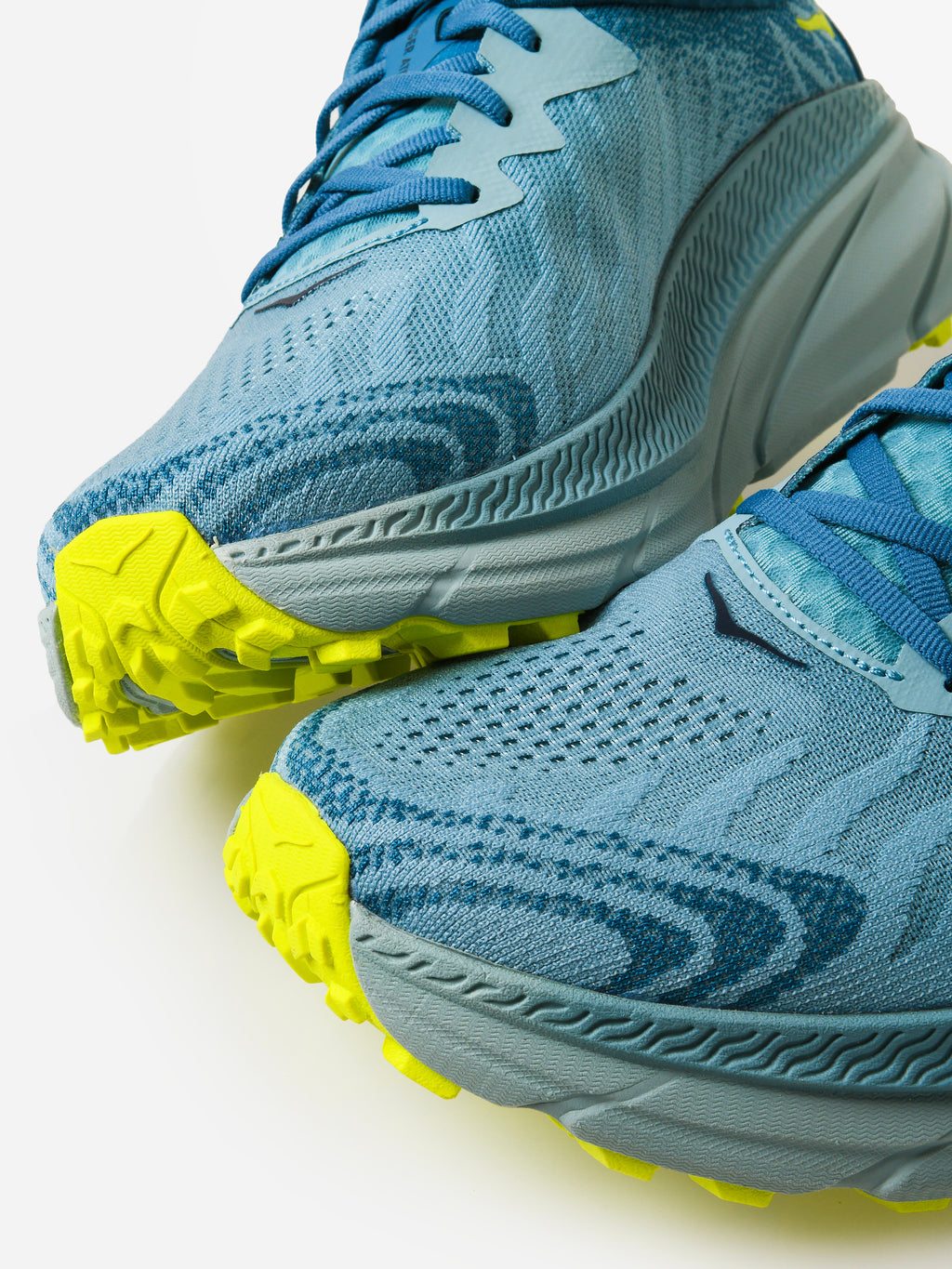 1134497xSTONEBLUEEVENINGPRIMROSE-alt3