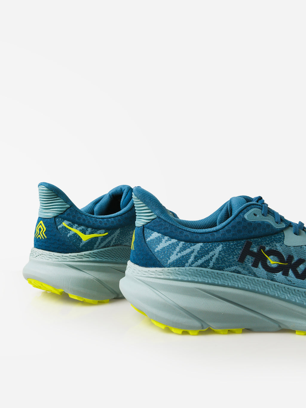 1134497xSTONEBLUEEVENINGPRIMROSE-alt5