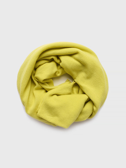 Saint Bernard Women's Cashmere Travel Wrap