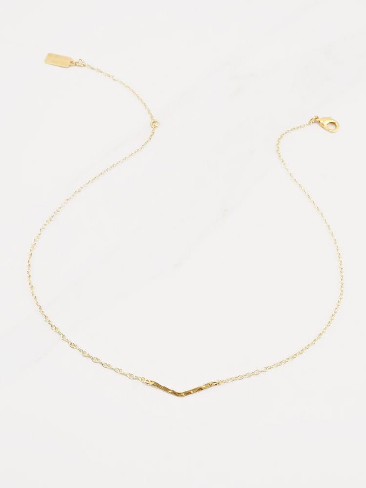 Nicole Leigh Leah Choker - Saint Bernard