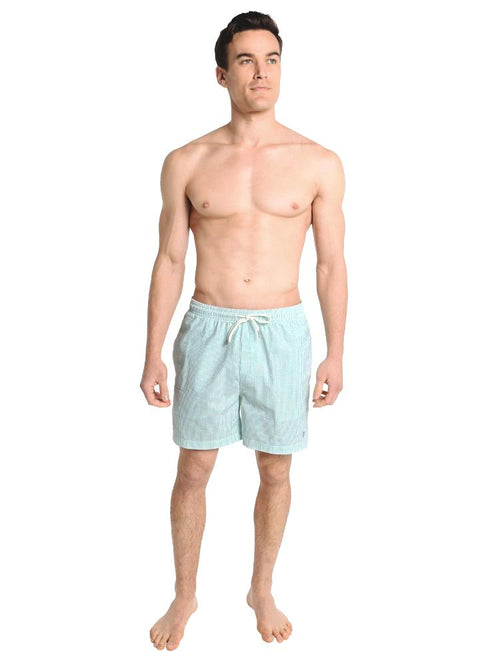 Southern Tide Seersucker Swim Trunk