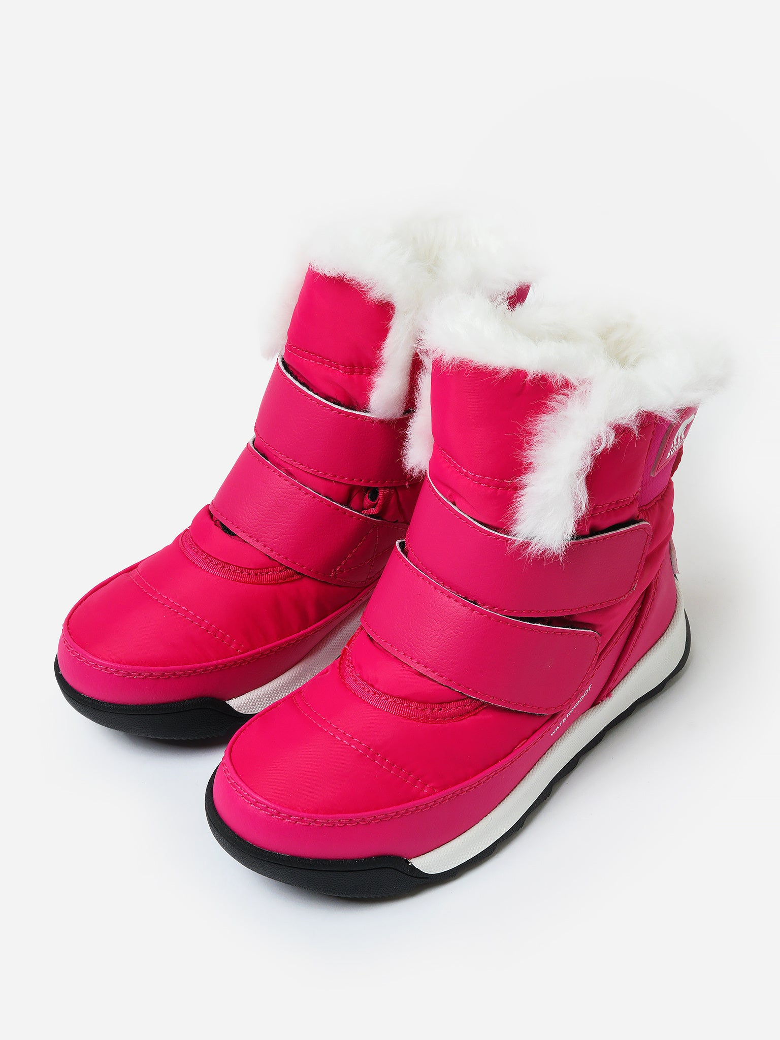 1920331xCACTUSPINK-alt4