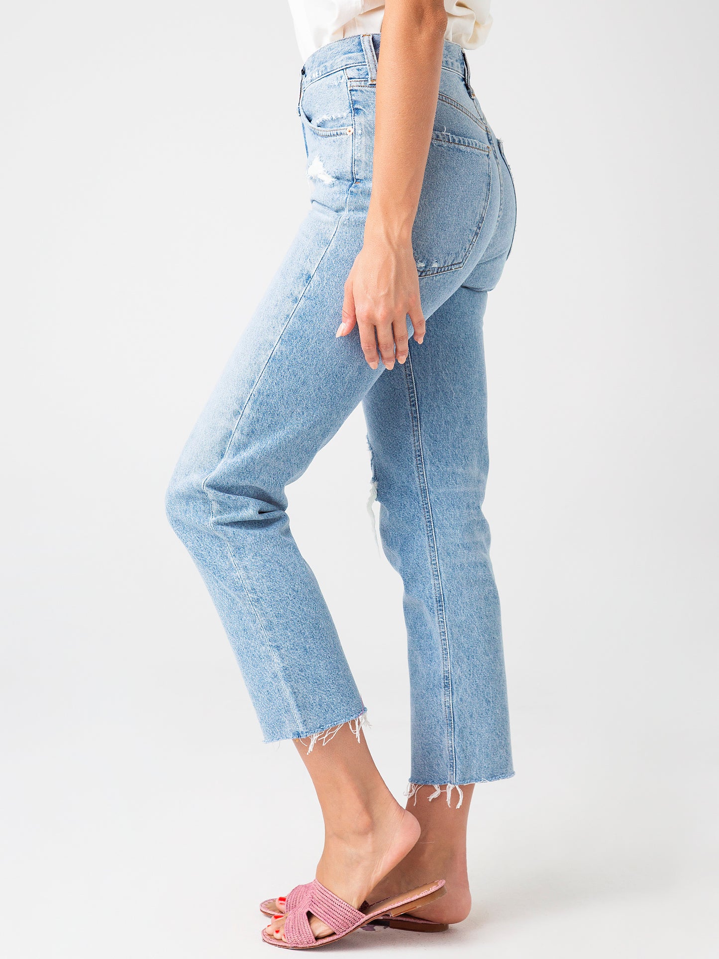 1939-1254xASTERLTINDIGO-alt2