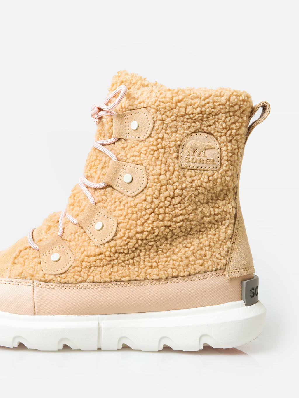 1959361xANCIENTFOSSIL-alt3