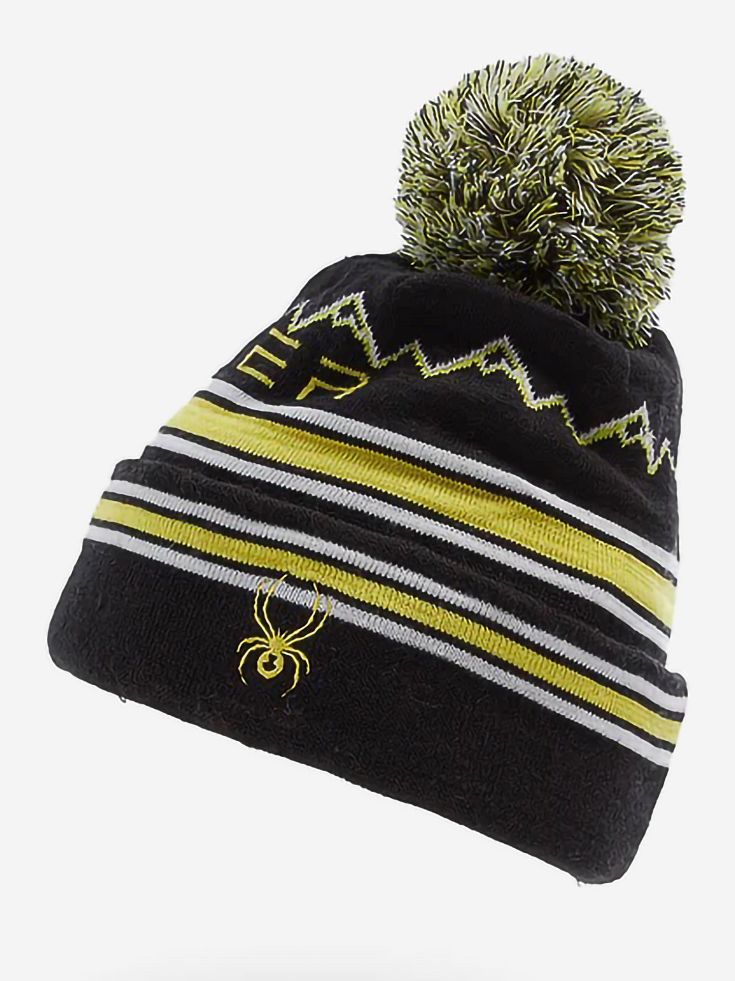 Spyder Boys' Icebox Pom Beanie - Saint Bernard