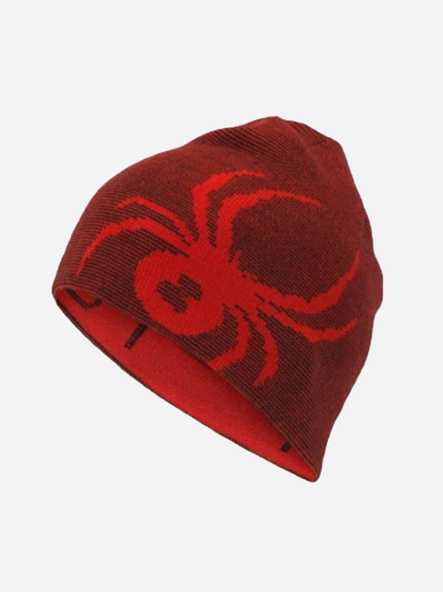 Spyder Boys' Reversible Bug Beanie - Saint Bernard