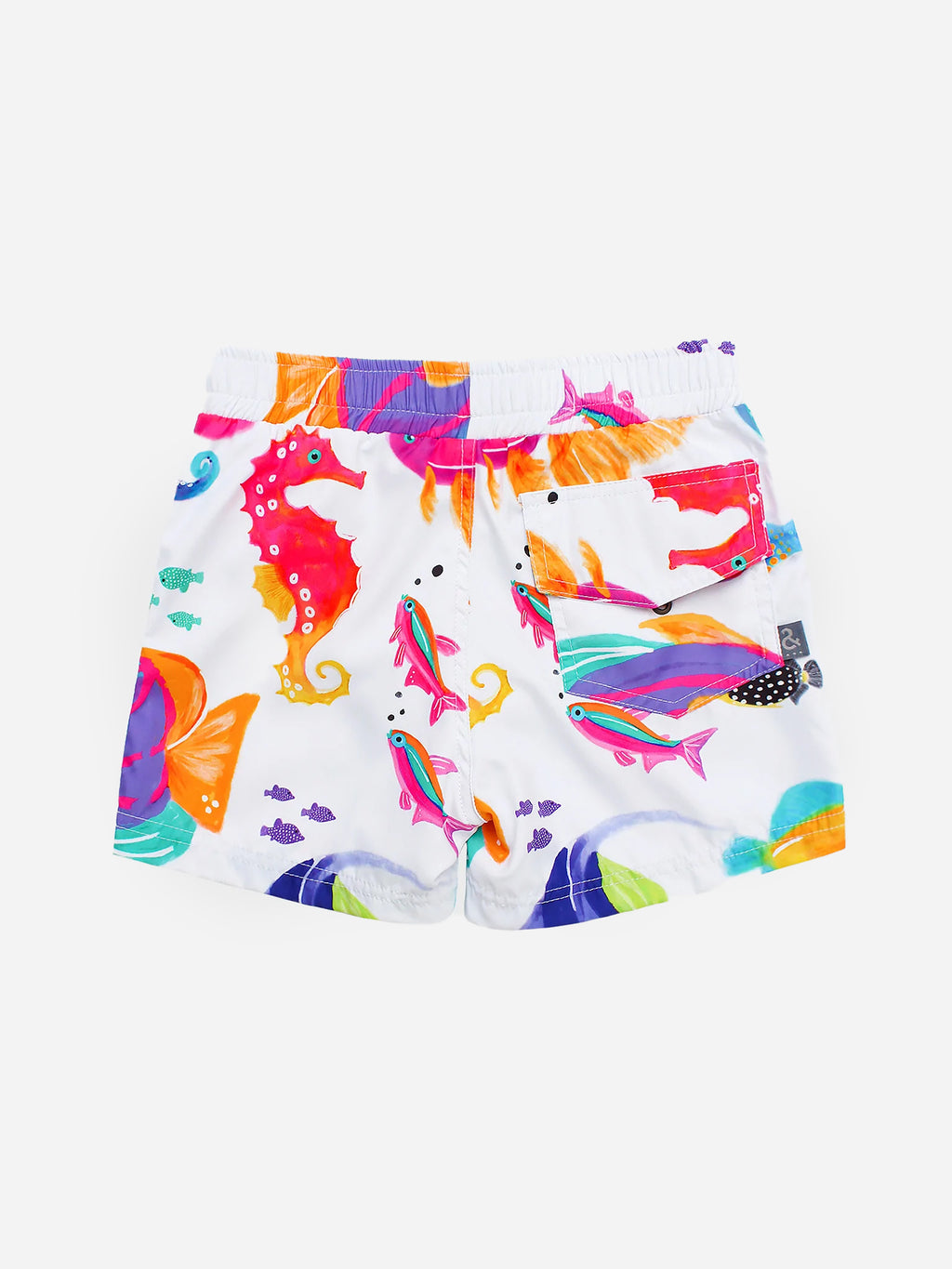 19P01039xMARCARIBE-alt1