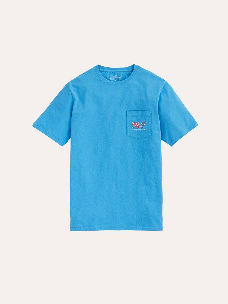 1V000041-alt1