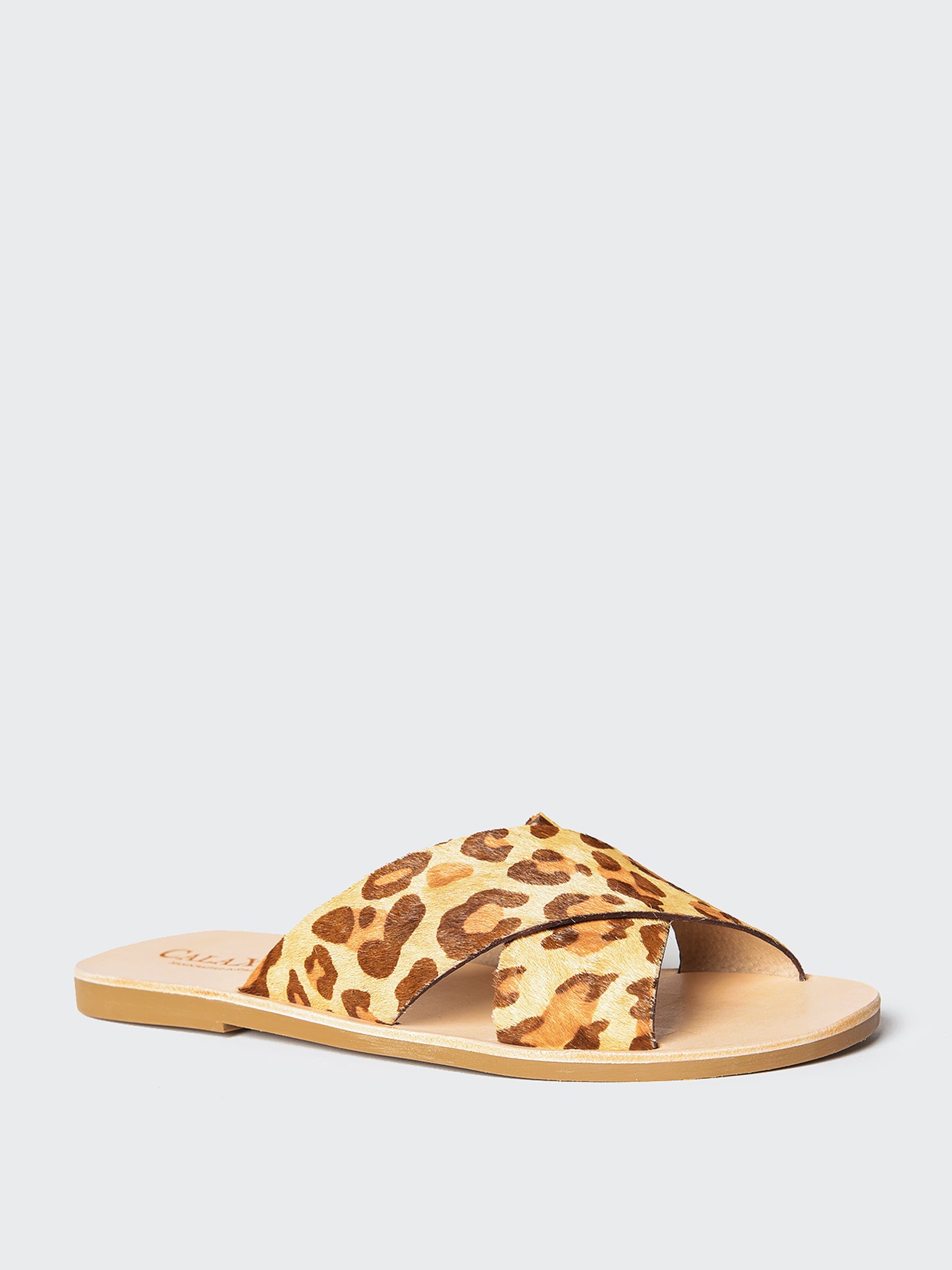 2023CXxCINTARAPONY-alt1