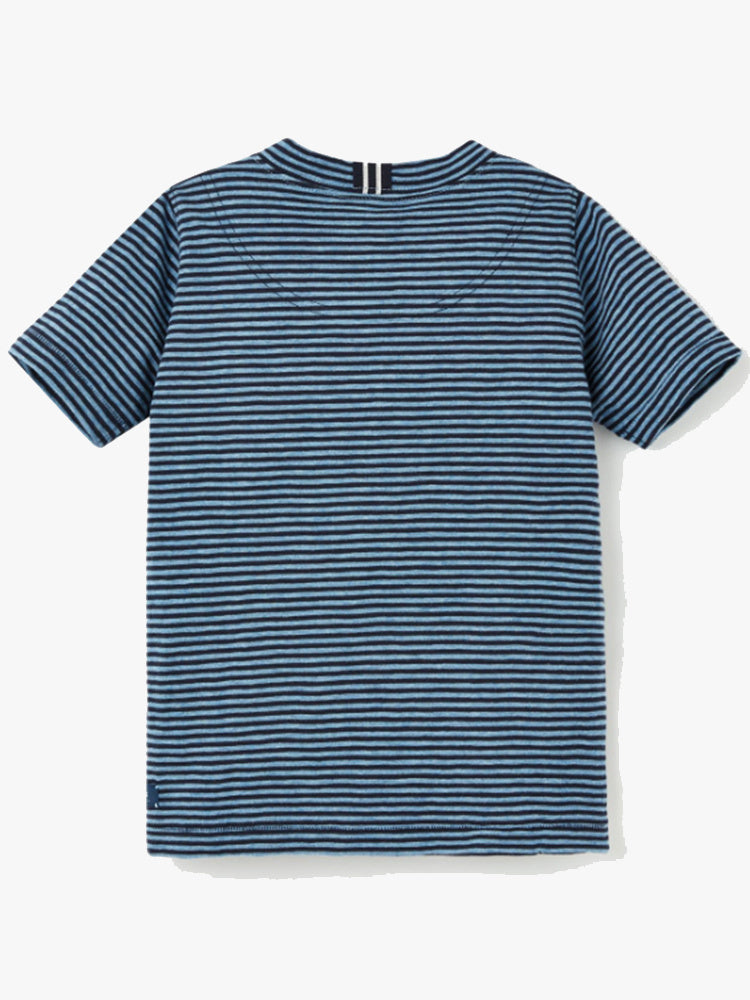 207897-BLUSTPDINOxBLUESTRIPEDINO-alt1