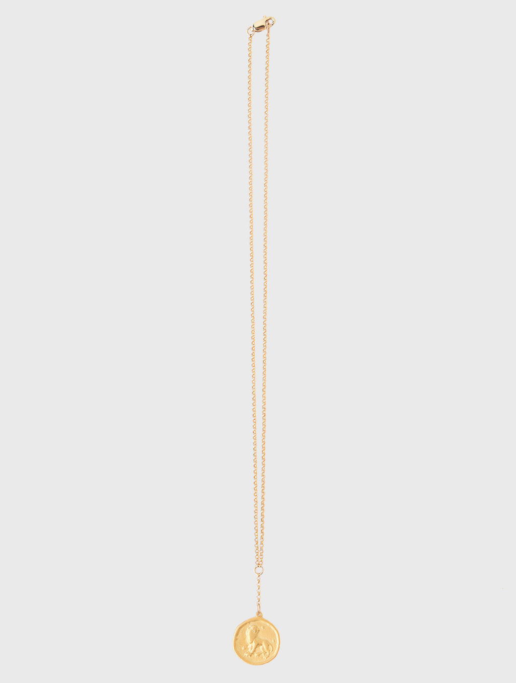Annie O'Grady Designs Rolo Chain With Lion Medallion Necklace - Saint Bernard