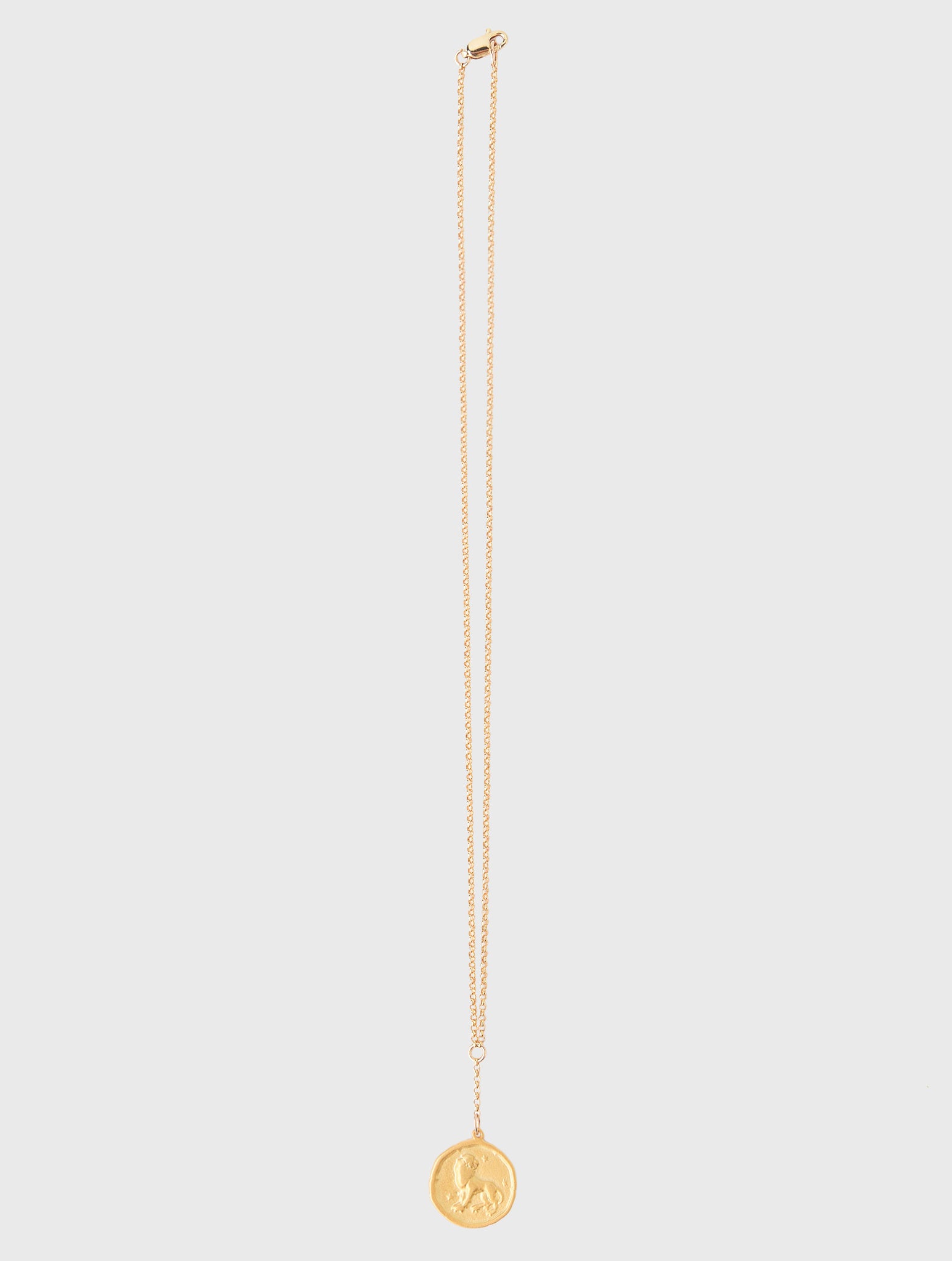Annie O'Grady Designs Rolo Chain With Lion Medallion Necklace - Saint Bernard