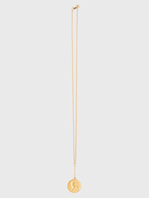 Annie O'Grady Designs Rolo Chain With Lion Medallion Necklace