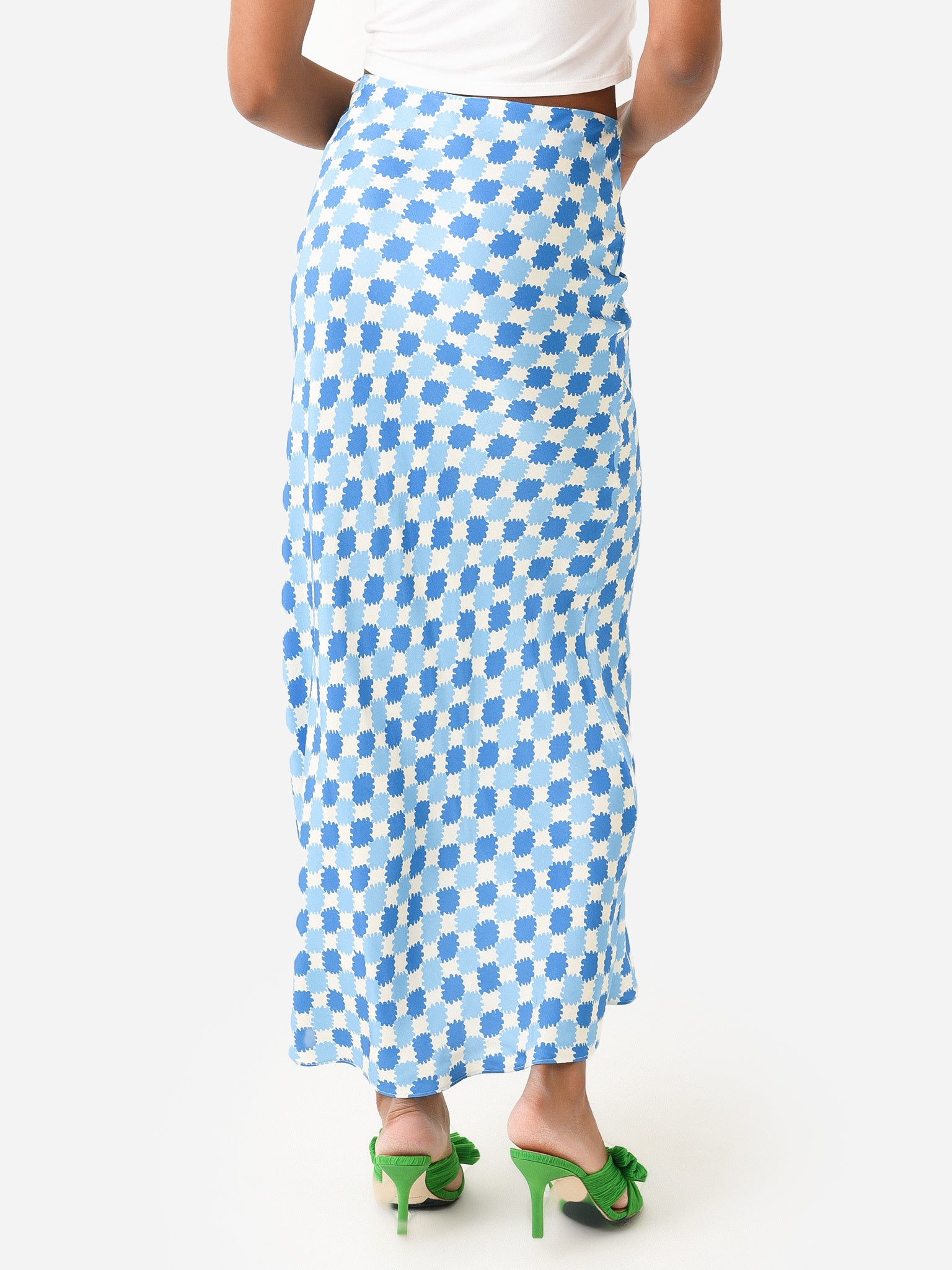 2202803BPCxBLUEPICNICCHECK-alt3