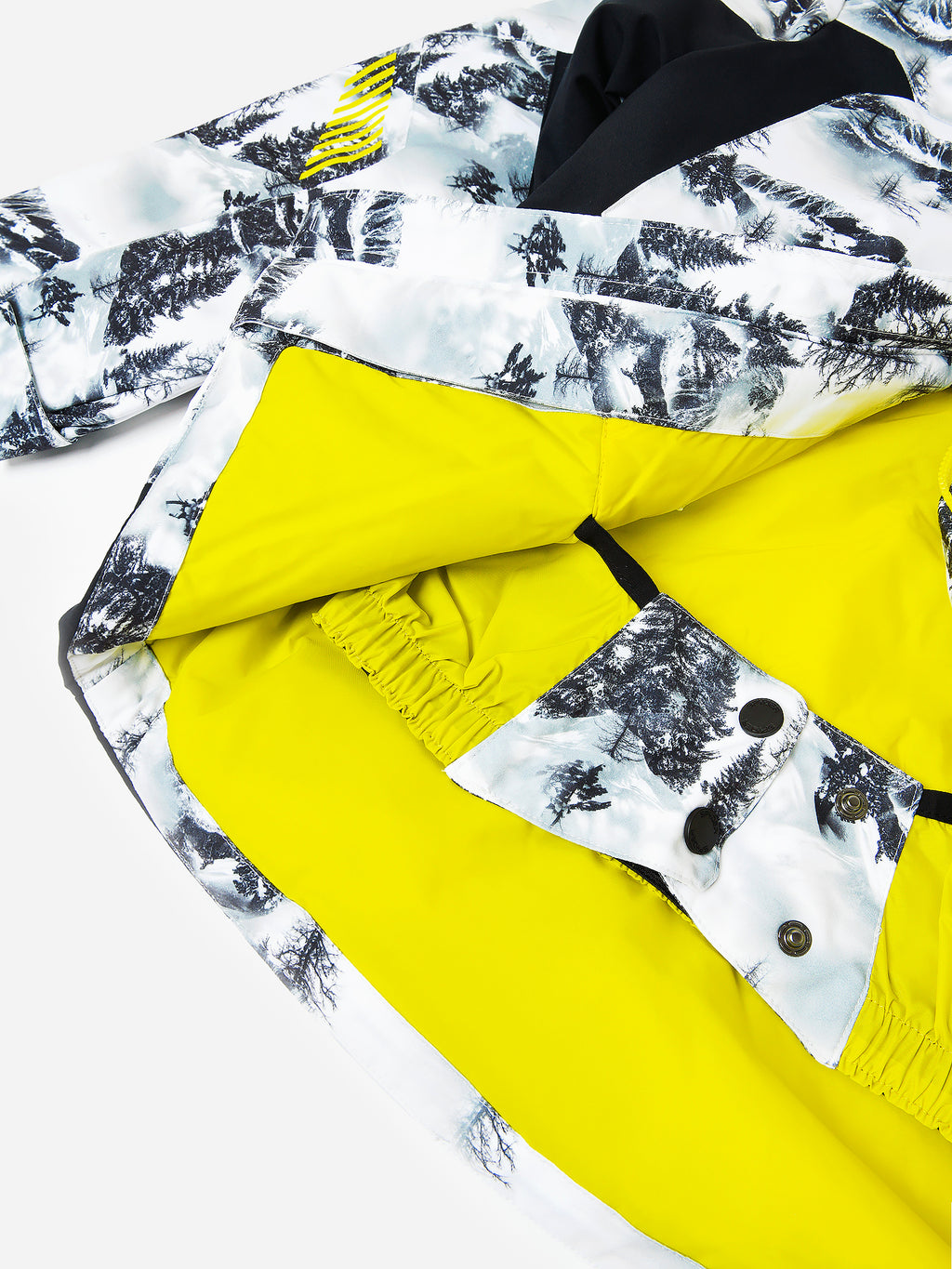 225001x312TREELINE-alt1