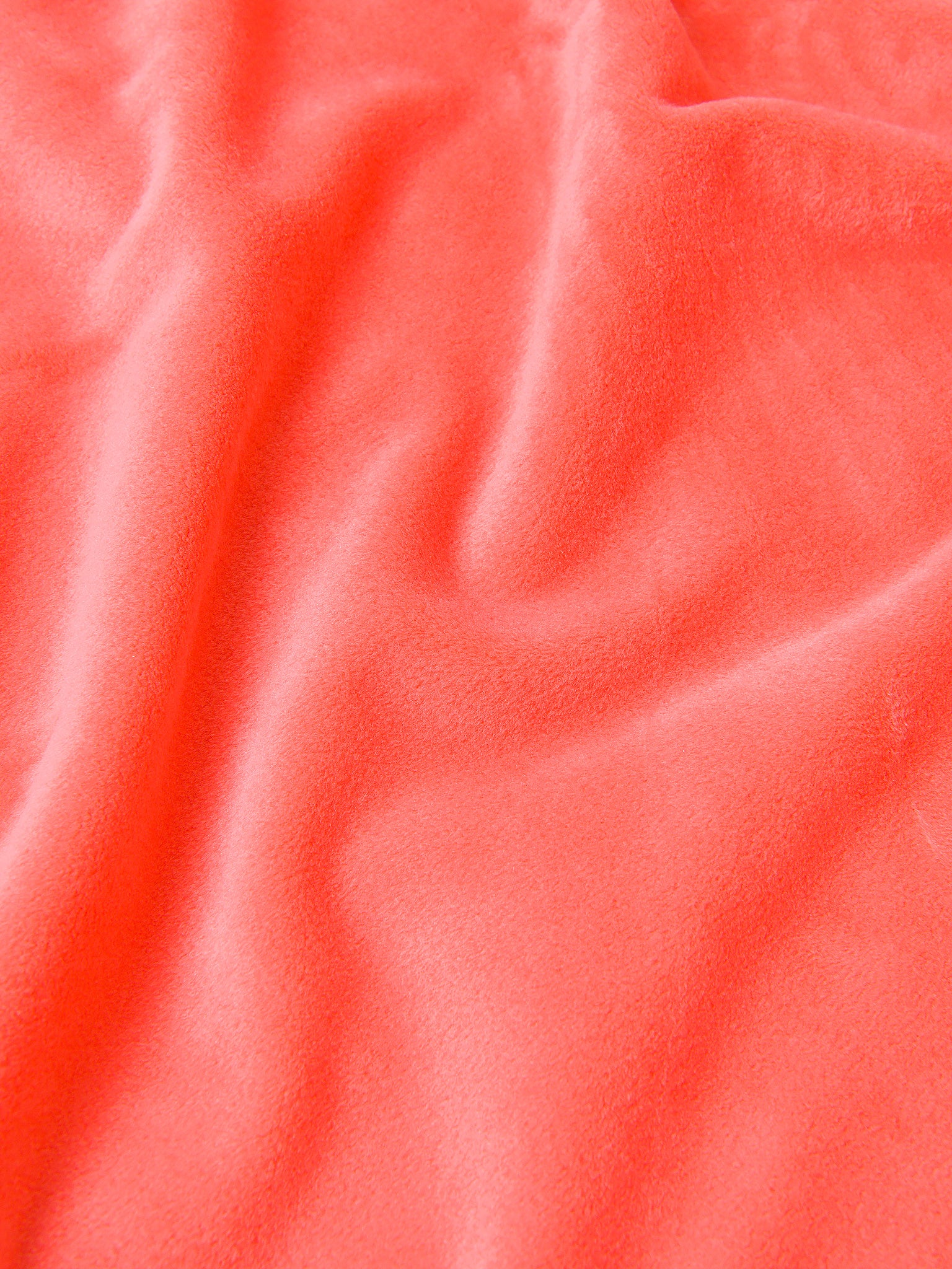 226008x653TROPIC-alt2