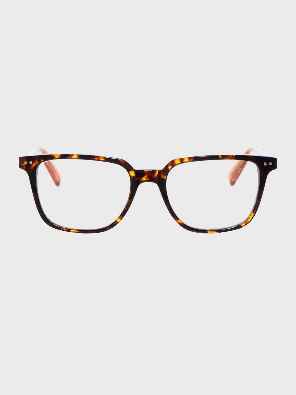 Eyebobs C Suite Reading Sunglasses - Saint Bernard