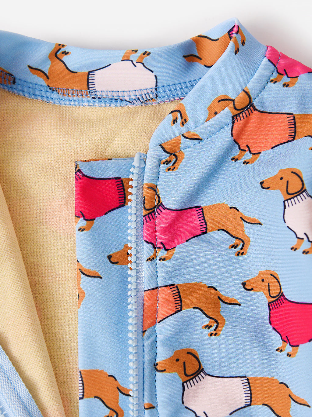 22SPCBS122xBLUEBELLDACHSHUNDS-alt2