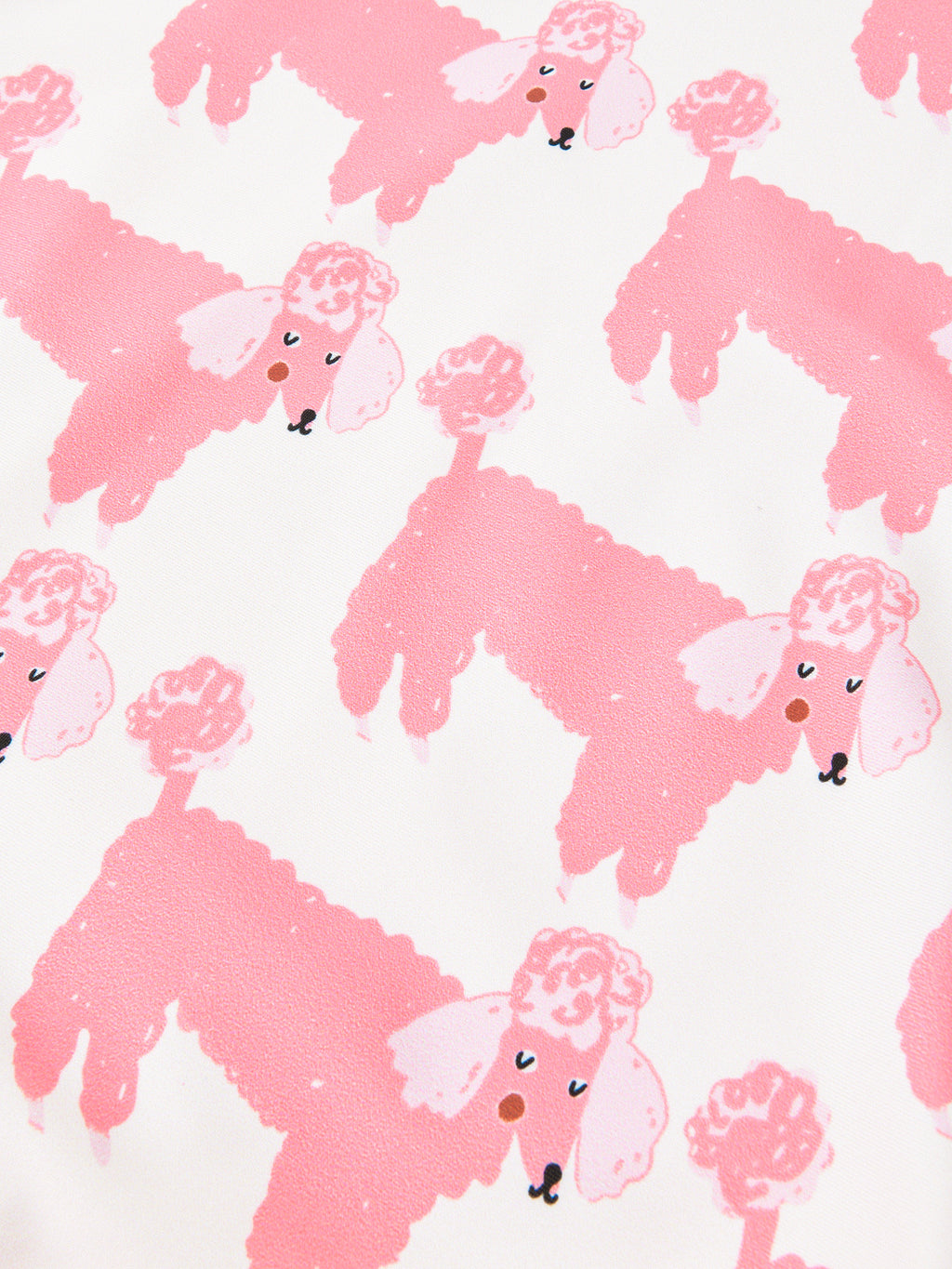 23SPCS107AxPOODLEPARTY-alt2