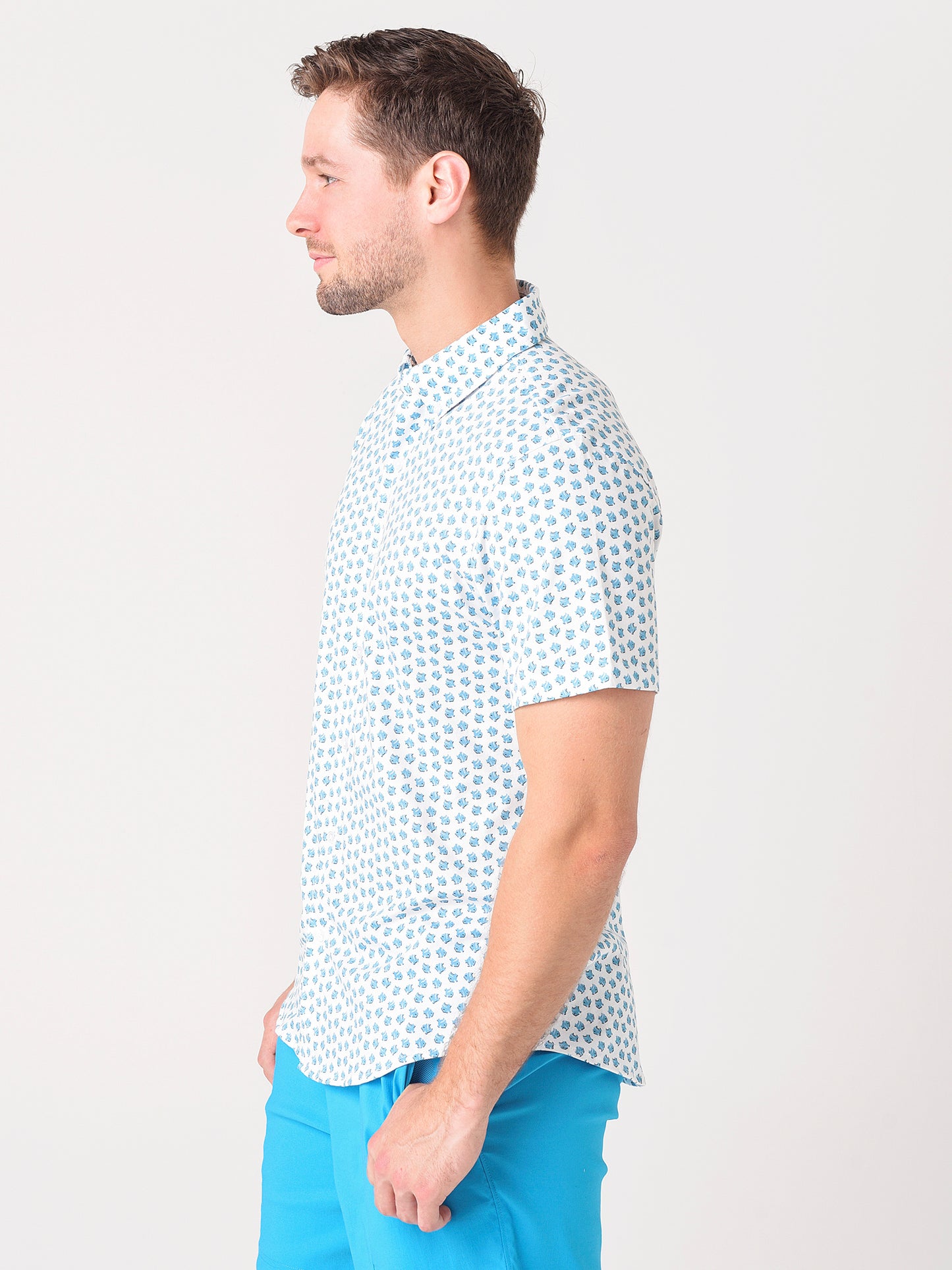 25866xTINYFISHYC2-alt2