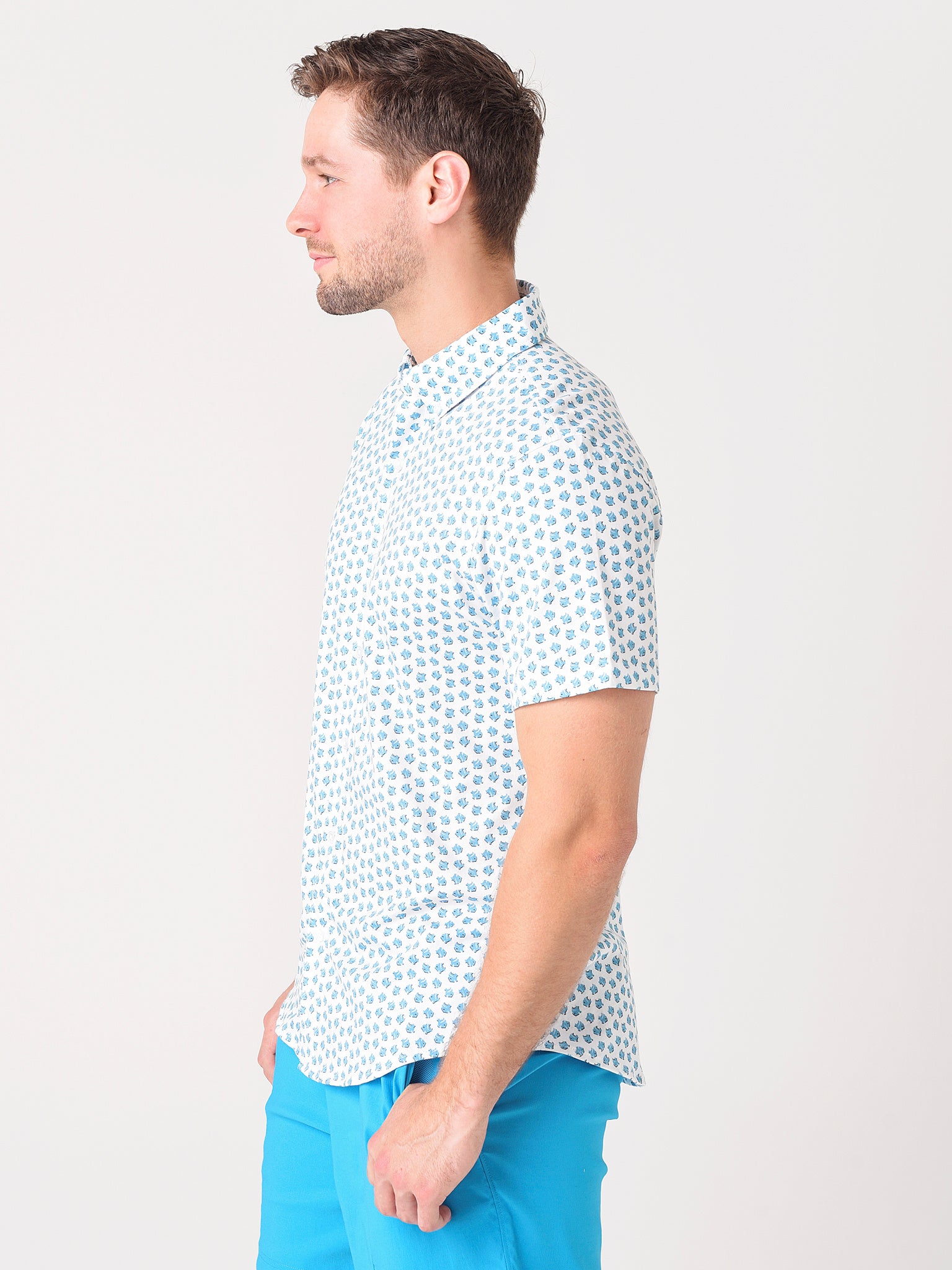 25866xTINYFISHYC2-alt2