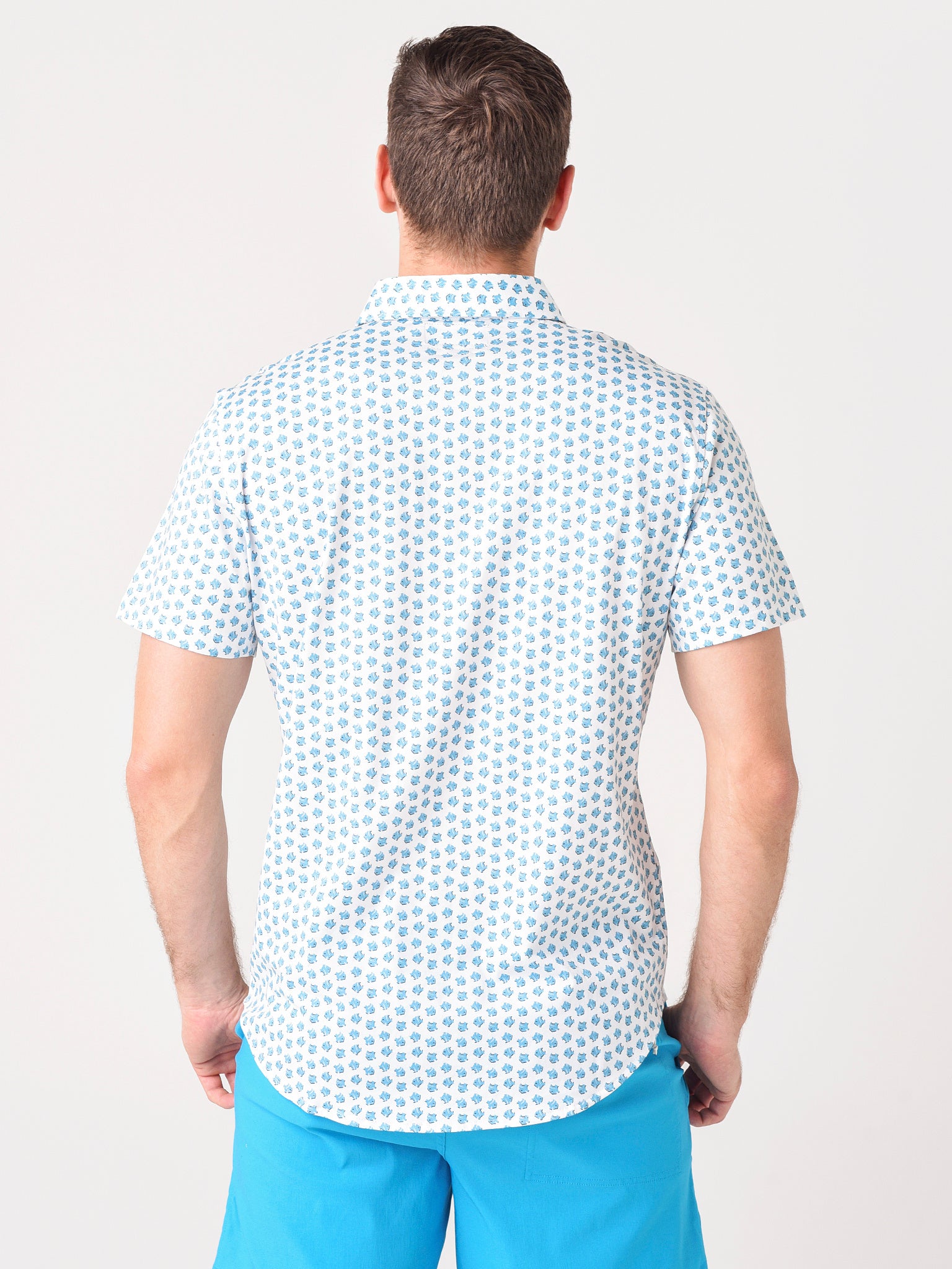 25866xTINYFISHYC2-alt3