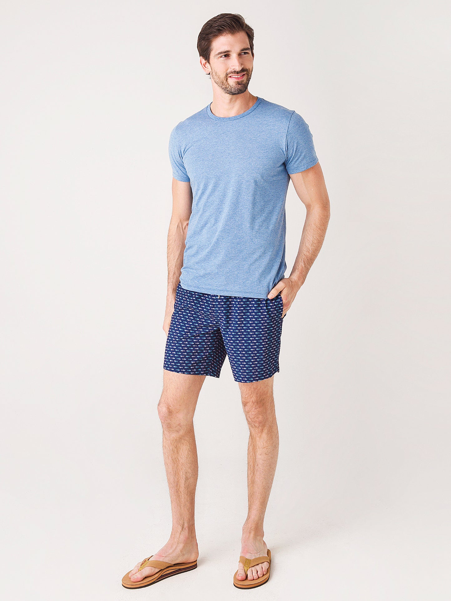 27777xHAMMERHEADSHARKS-alt1