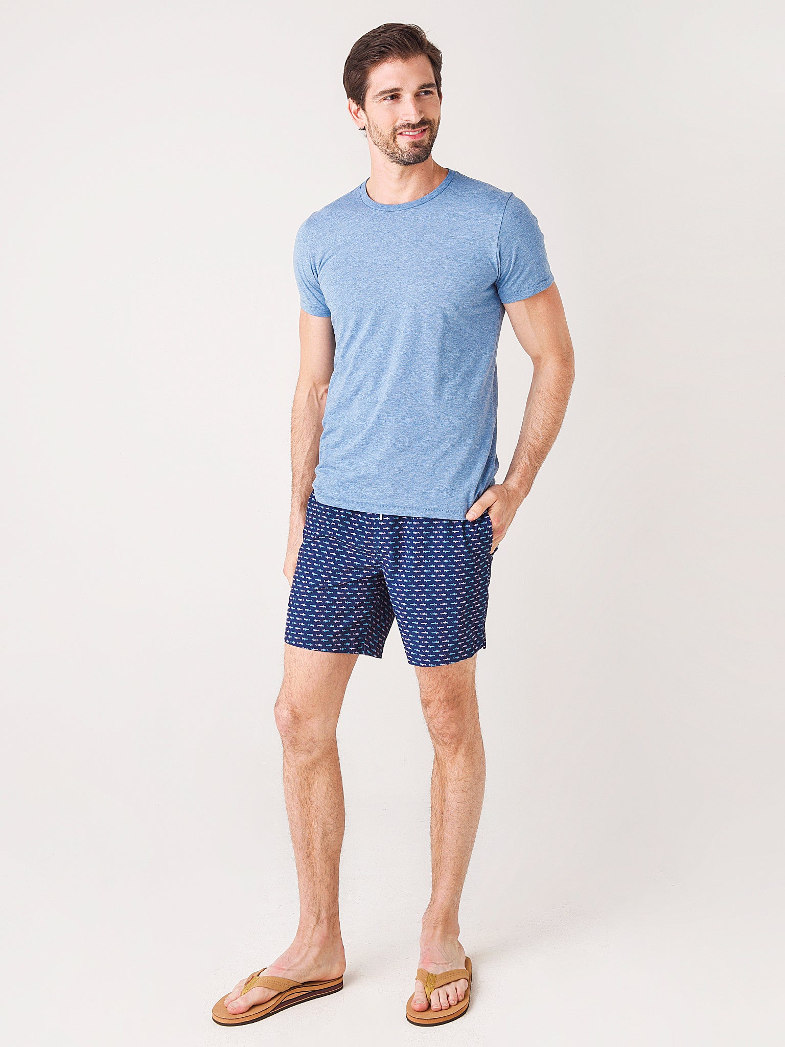 27777xHAMMERHEADSHARKS-alt1