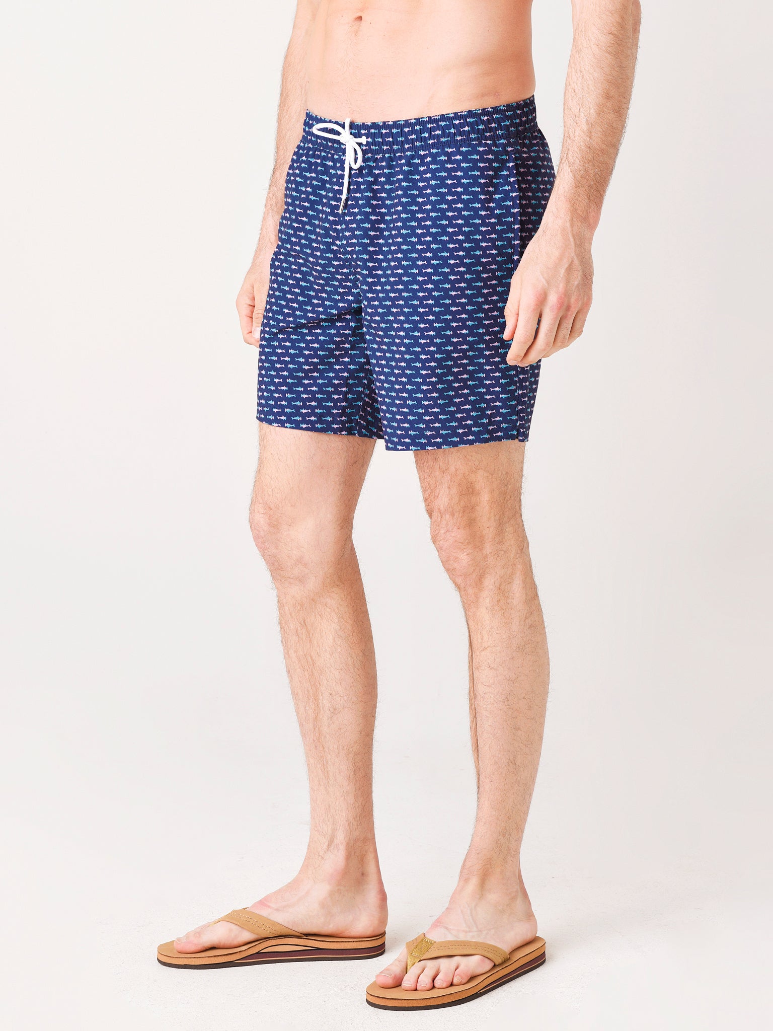 27777xHAMMERHEADSHARKS-alt2