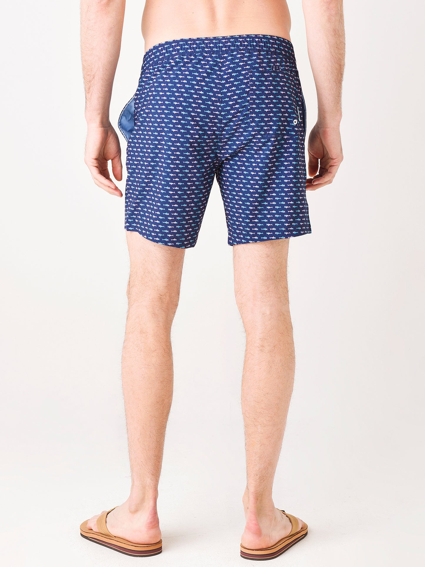 27777xHAMMERHEADSHARKS-alt3