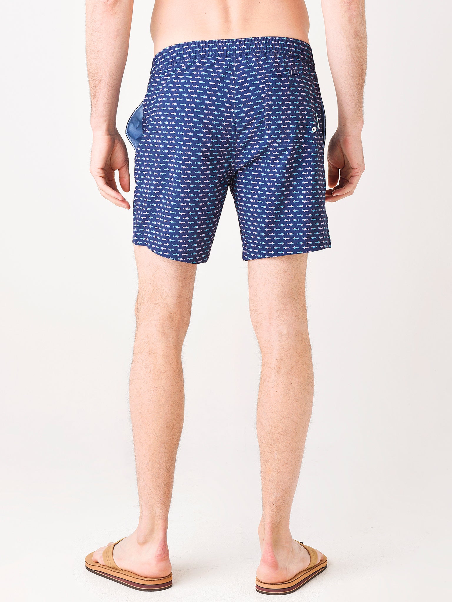 27777xHAMMERHEADSHARKS-alt3