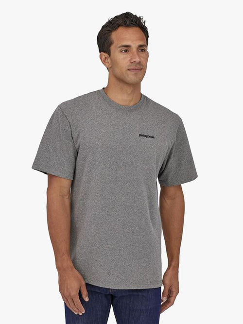 Patagonia Men’s Framed Fitz Roy Trout Responsibili-Tee