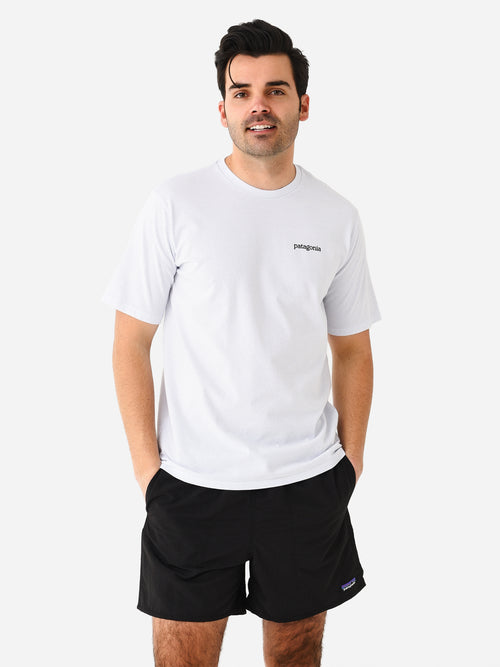 Patagonia Men's Fitz Roy Horizons Responsibili-Tee
