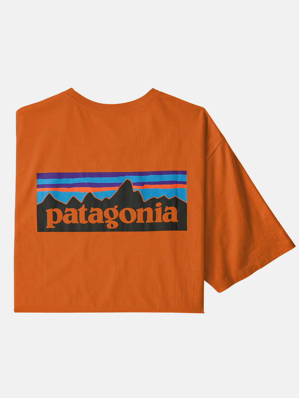 Patagonia Men's P-6 Logo Organic T-Shirt - Saint Bernard