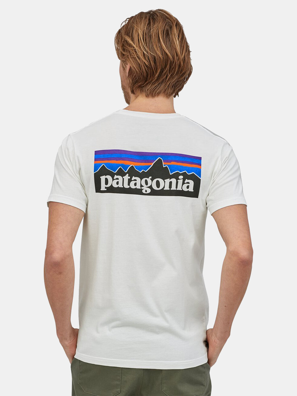 Patagonia Men's P-6 Logo Organic T-Shirt - Saint Bernard